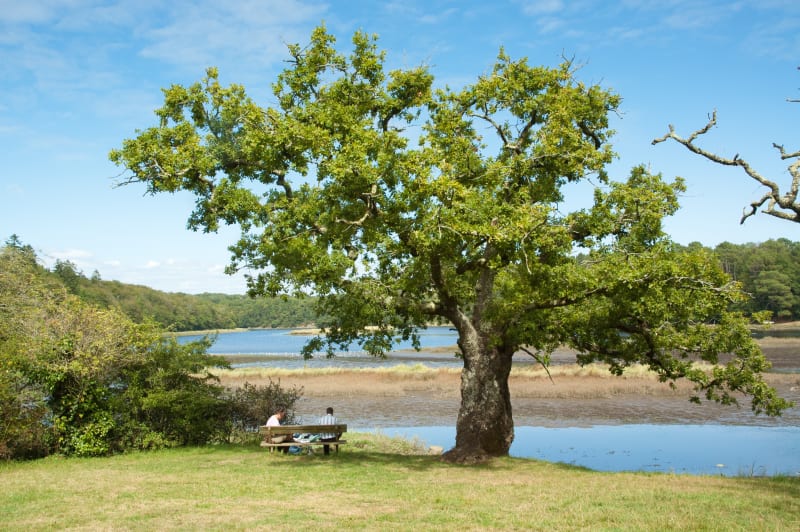 Blavet et Tremelin - Hennebont
