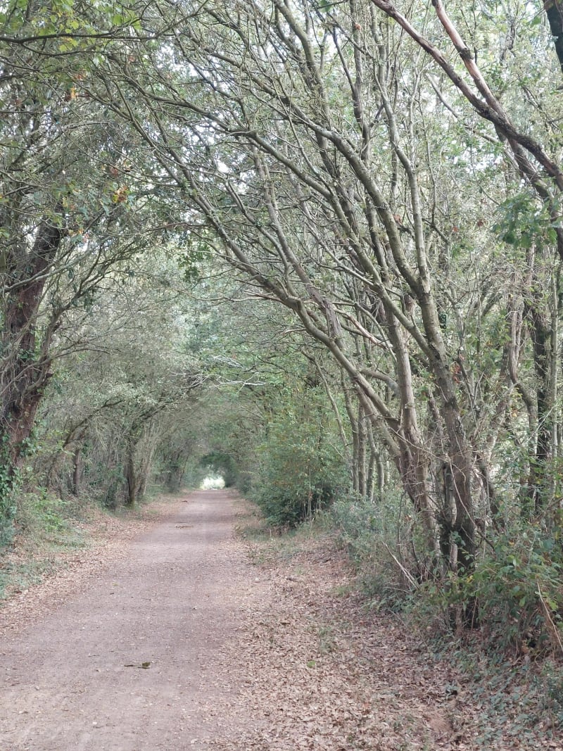 Le Chemin de Ronde à Château d'Olonne - Les Sables-d'Olonne