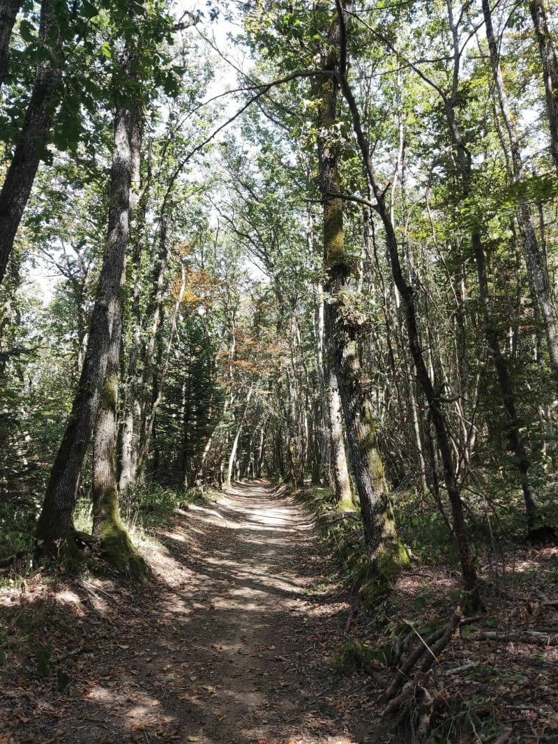 Petite randonnée à Le Mont Mourex - Grilly