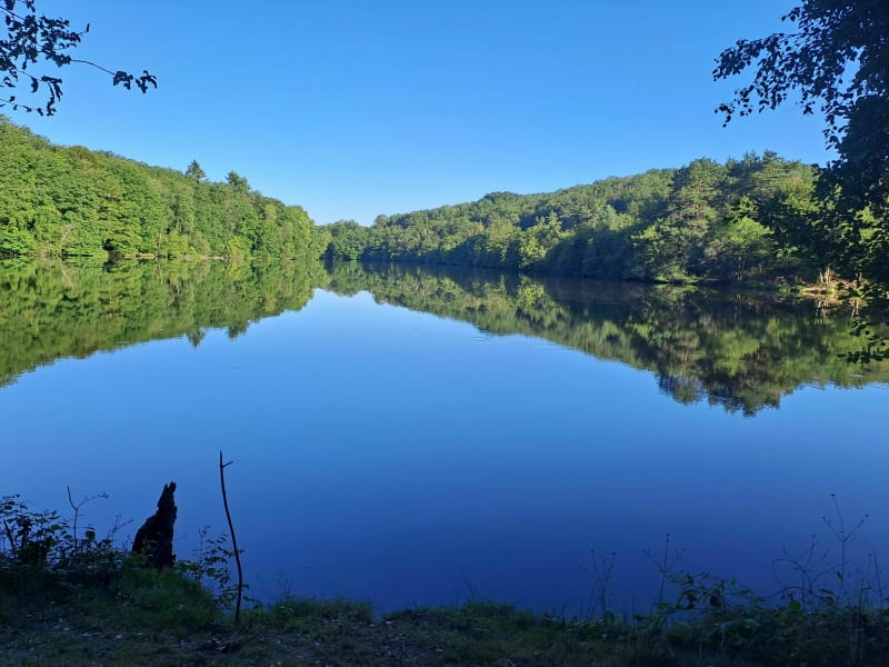 Fraiche balade entre lac et forêt à Laurière - Laurière