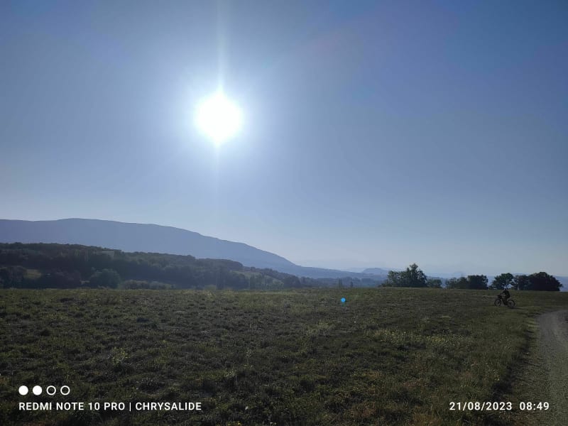 À travers bois en Haute-Savoie à Saint-Germain-sur-Rhône - Saint-Germain-sur-Rhône