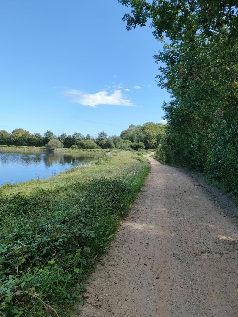 Belle balade ombragée par le Bois de la Cour aux loups - Herbignac