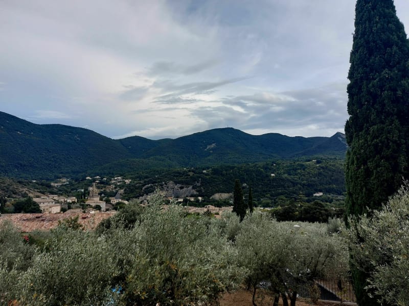 Sentier des Oliviers depuis les hauteurs de Nyons - Nyons