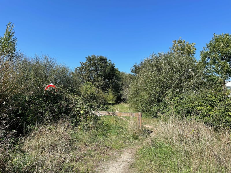 Tour de Rezé - Rezé