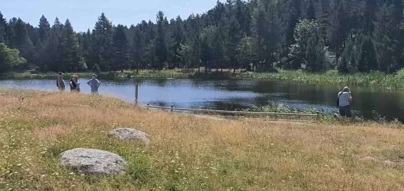 Boucle depuis le Lac de Calvet - La Llagonne