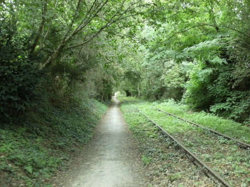 Le long du vélo-rail de St-Loup-du-Gast - Saint-Loup-du-Gast