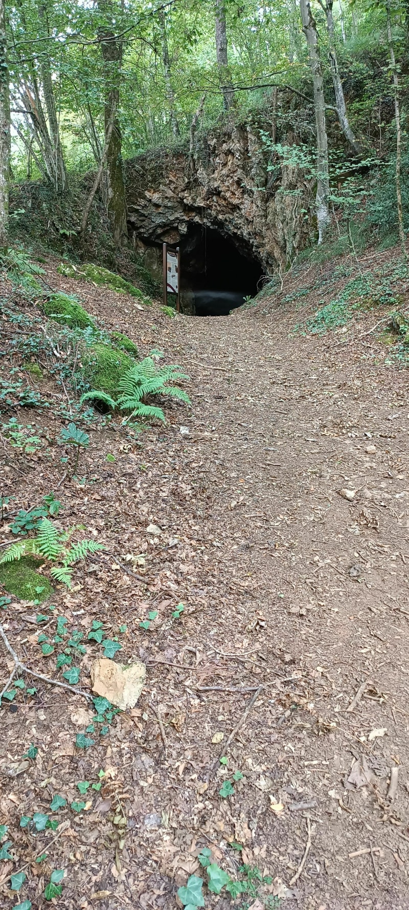 Randonnée vierge et grotte du Bédat - Bagnères-de-Bigorre