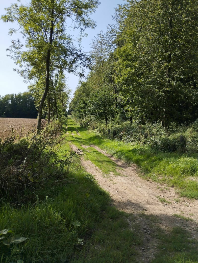 Bours et les alentours - Bours