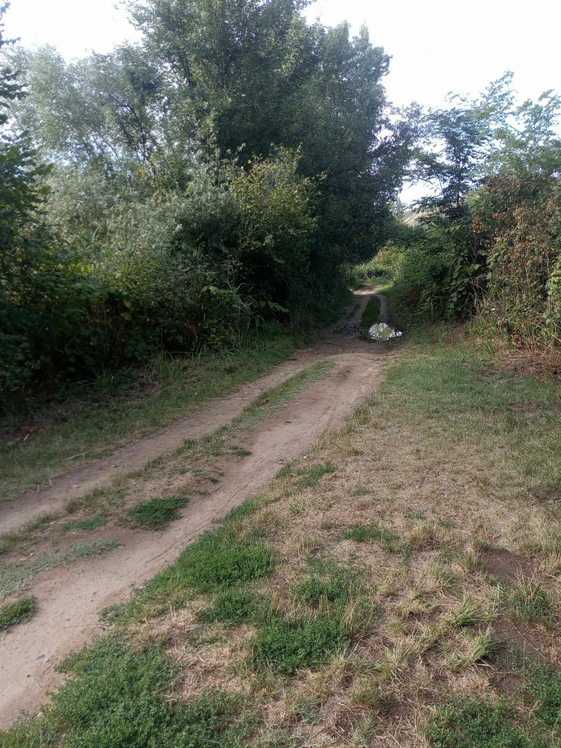 Les sources de Sainte-Marguerite - Saint-Maurice