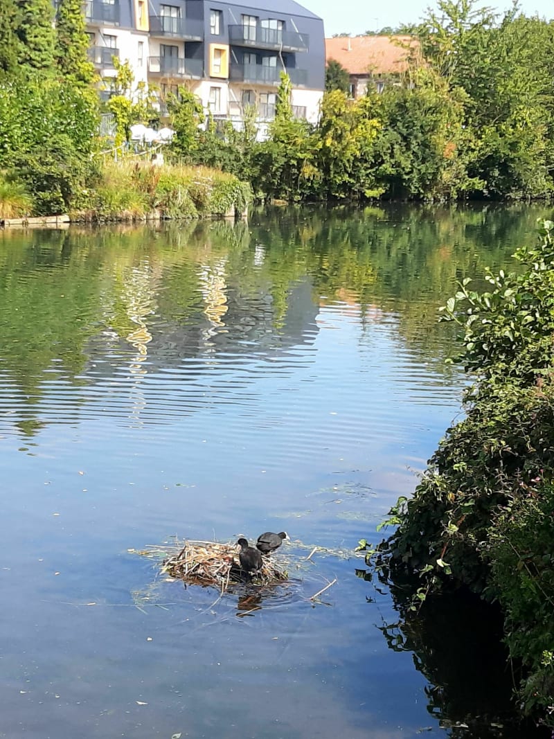 De Cambrai au Bassin rond le long du canal de l'Escaut - Cambrai