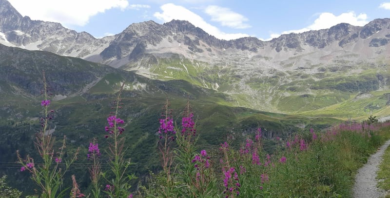 Refuge de la Balme par le chemin des glaneuses de myrtilles. - Les Contamines-Montjoie