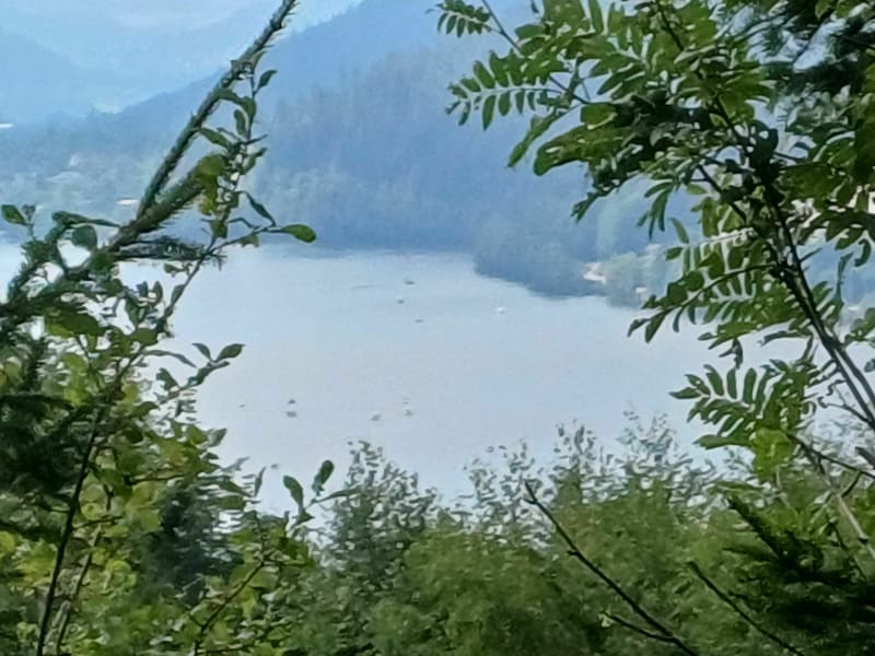 La belle petite balade  à côté du vieux Gérardmer. - Gérardmer