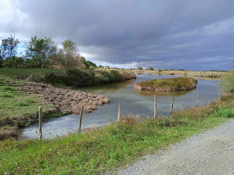 Balade à travers le marais Breton - Les Moutiers-en-Retz