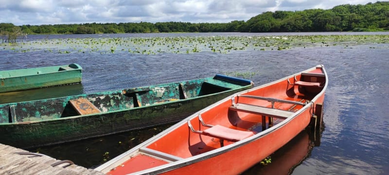 Boucle du côté Est du Lac de Léon - Léon