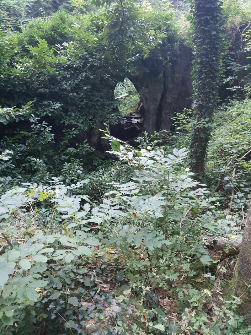 Balade des 2 chateaux, Fay et Varax - Larajasse