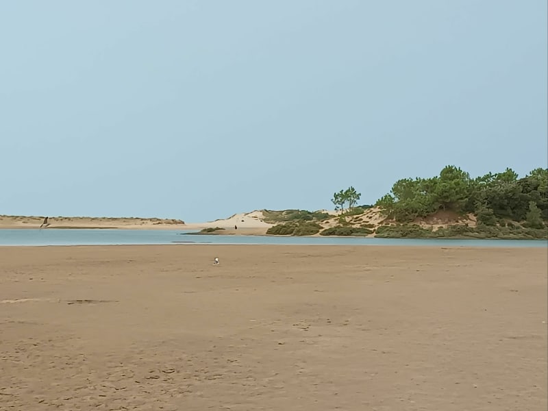 De Jard sur Mer à la Guittière par les marais. - Jard-sur-Mer