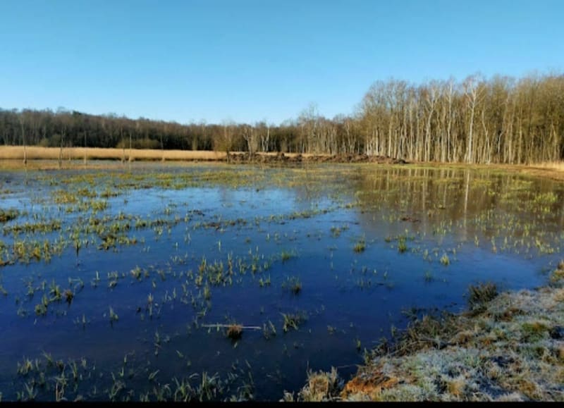 Tour en forêt de Raismes- Saint Amand les Eaux - Valenciennes