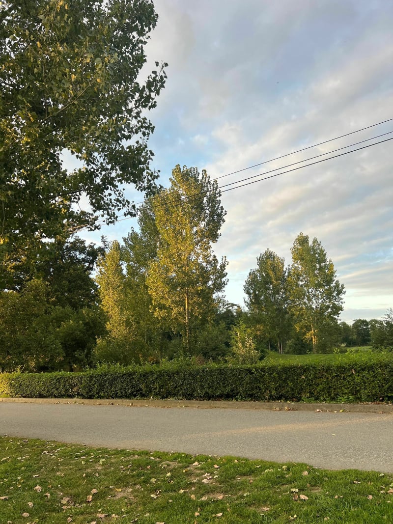 Moulin de Franceule - Janzé