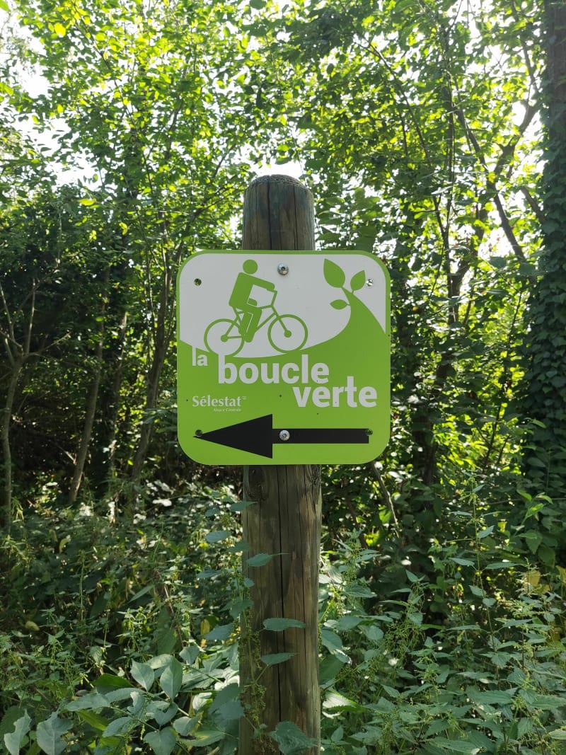 La boucle verte de Sélestat - Sélestat