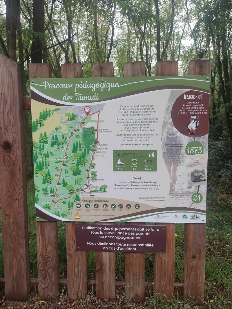 Sentier des tumuli - Ensisheim
