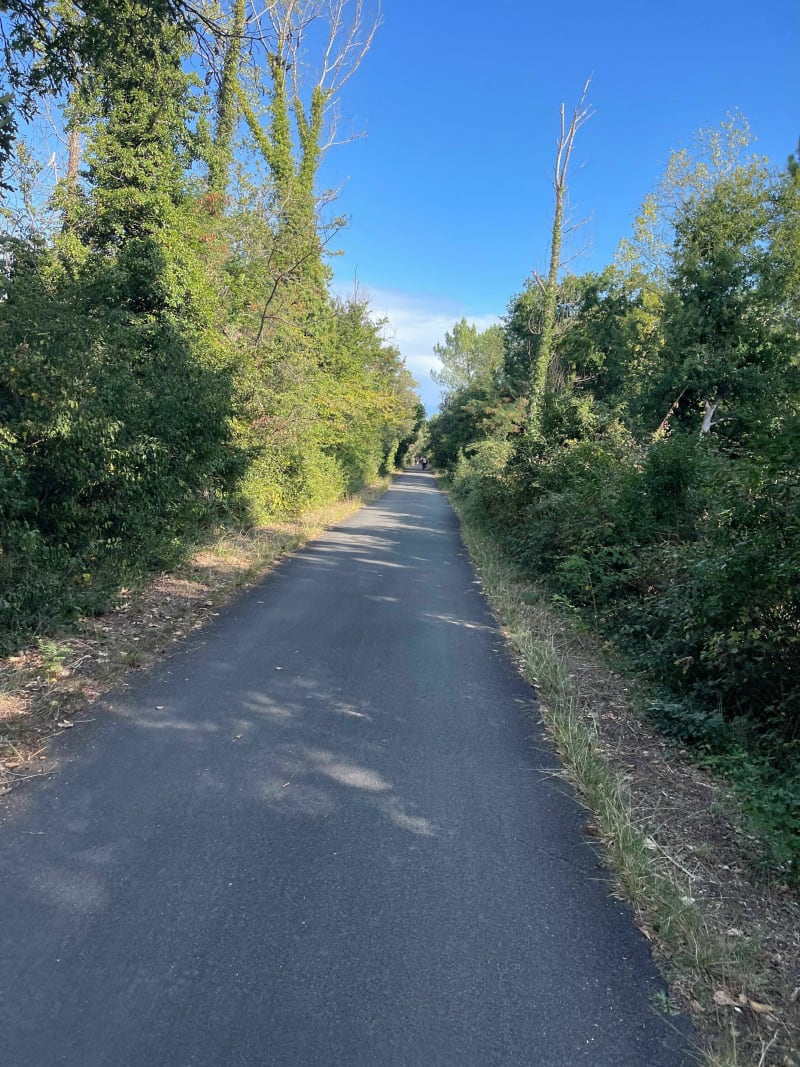Palmyre sur piste cyclable - Les Mathes