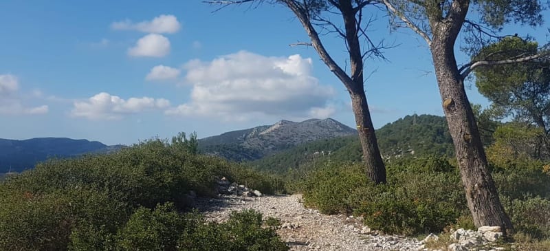 Autour de la Candolle - La Penne-sur-Huveaune