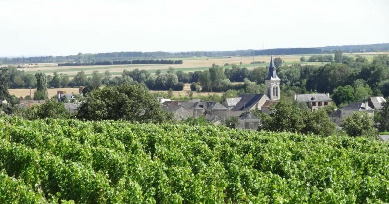 Balade de 10 km autour de Doué-la-Fontaine - Doué-en-Anjou