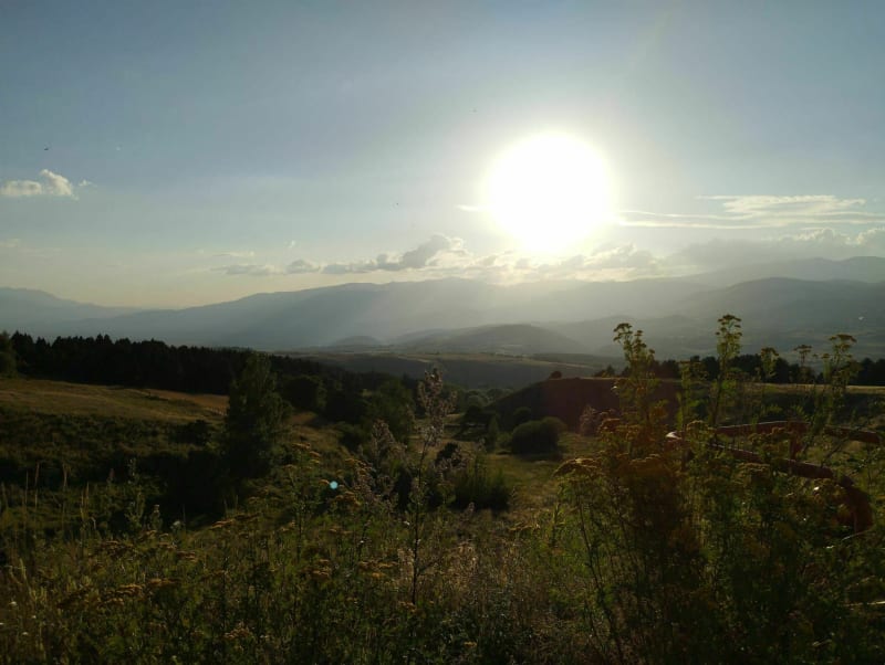 Le sentier forestier sur les pistes du Cambre d'Aze - Eyne