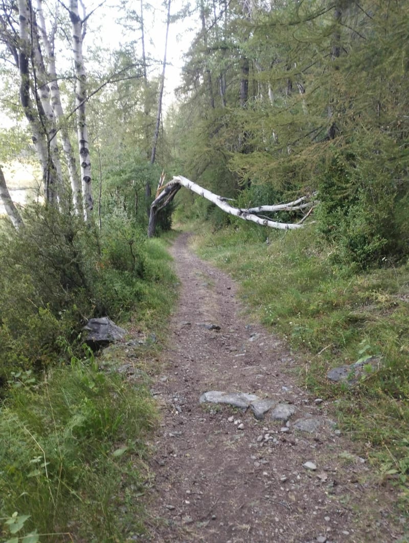 Tour du Chastellan - Péone