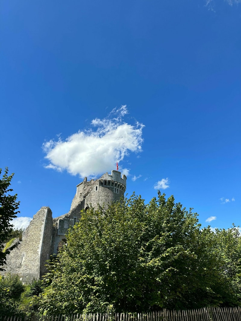 Forêt de la Londe depuis le château Robert le Diable - Moulineaux