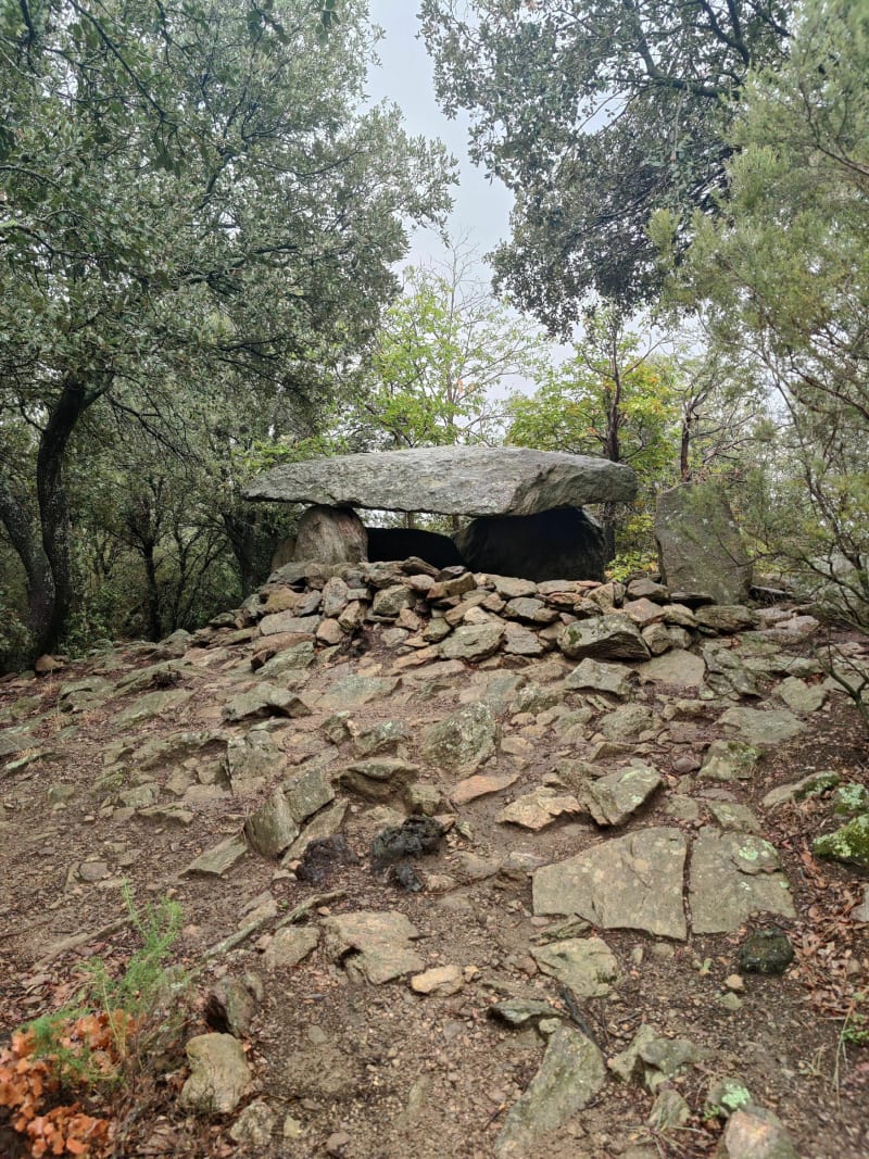 Rando au dolmen de Laroque-des-Albères - Laroque-des-Albères