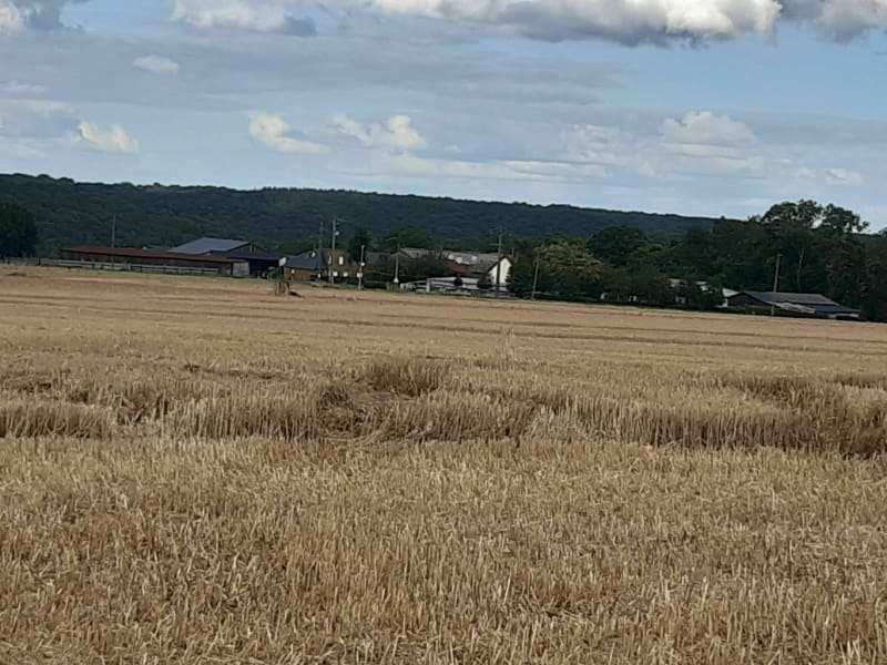 Balade autour de Franqueville-Saint-Pierre - Franqueville-Saint-Pierre