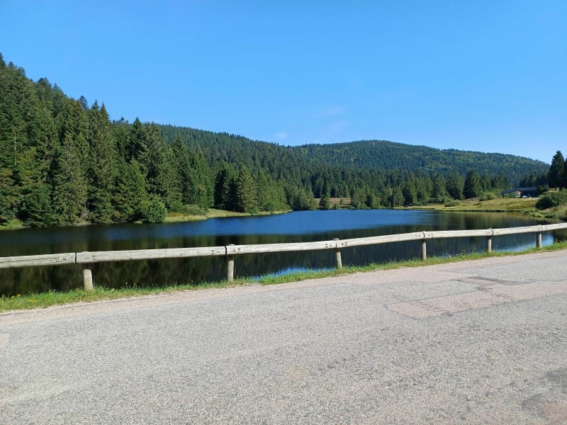 Le tour du lac de la Ténine à la Bresse. - La Bresse