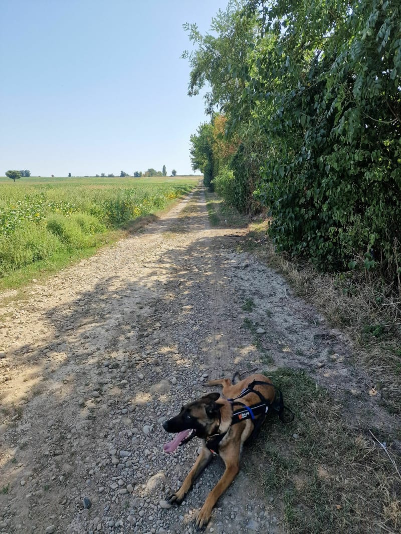 VTT à Heyrieux - Heyrieux