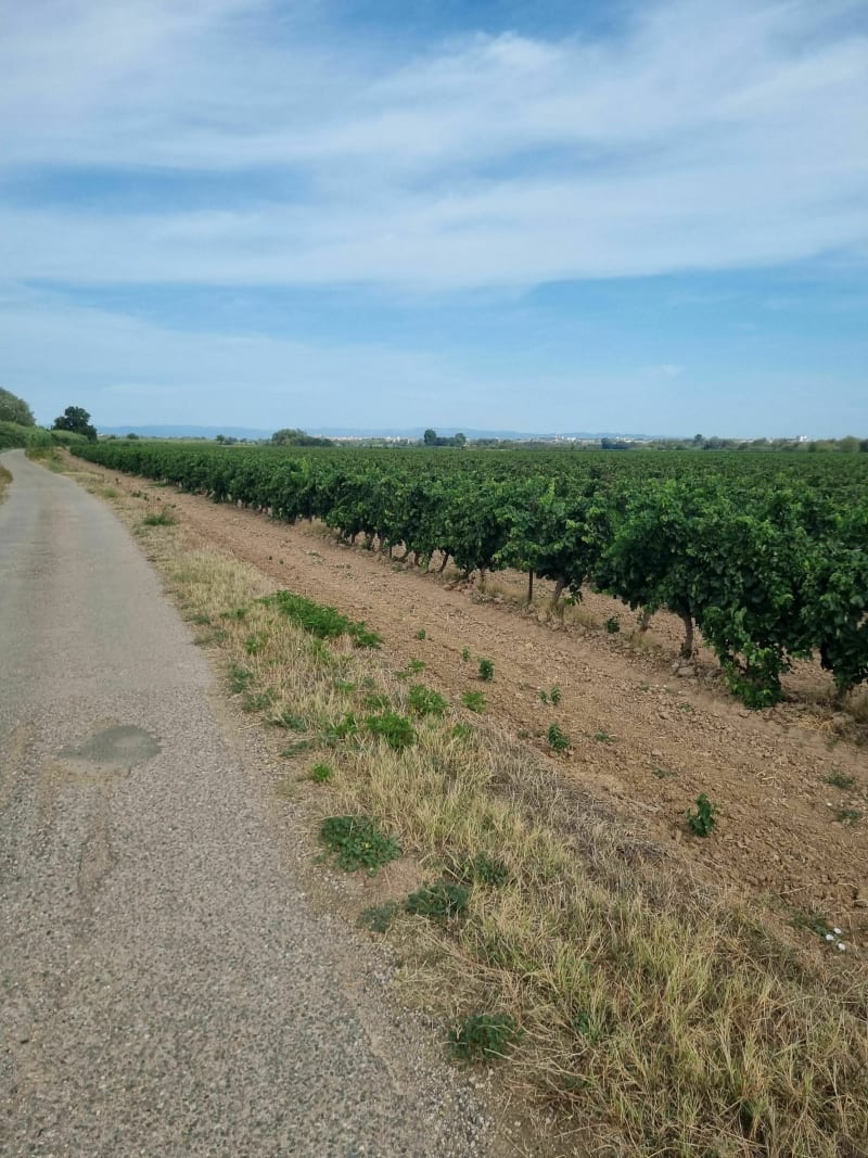 Balade autour de Valras - Vendres