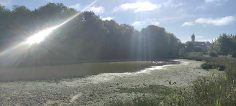 Autour de Châteaugiron et Domloup - Châteaugiron
