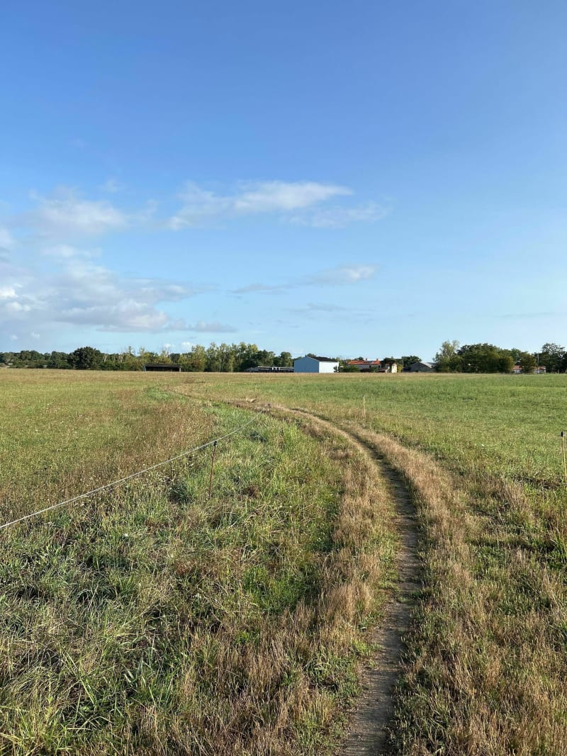 Petit tour dans la campagne de Bignon par les Ridelières et la Masure - Le Bignon