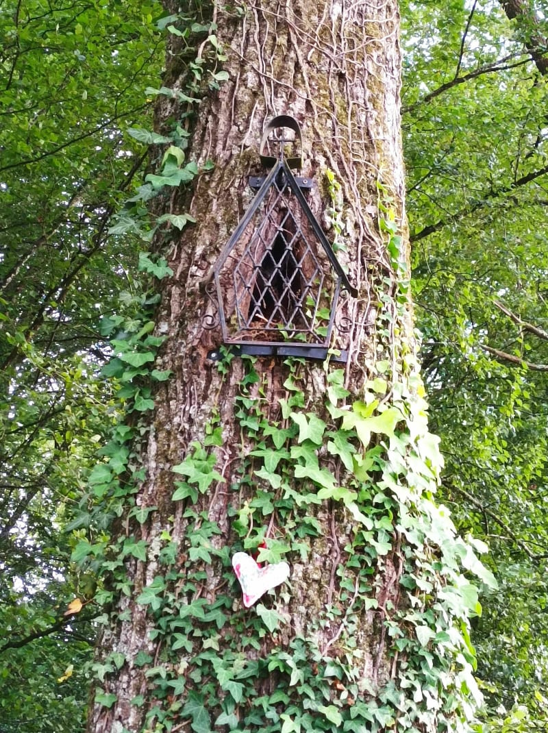 Le sentier du guêpier - Étrepigney