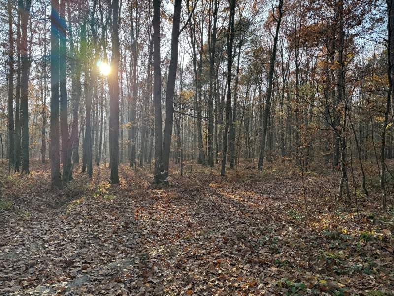 Piesza krótka wycieczka - Wandzin