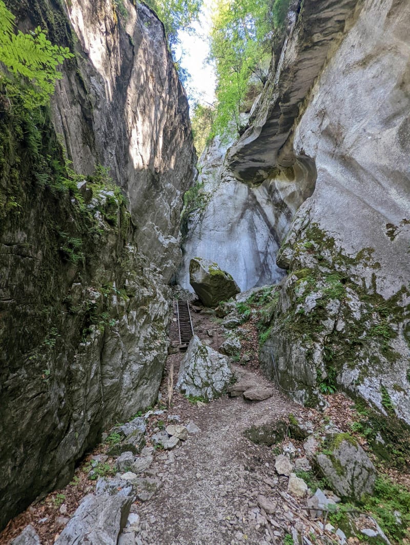 Anciennes gorges des Tines - Sixt-Fer-à-Cheval