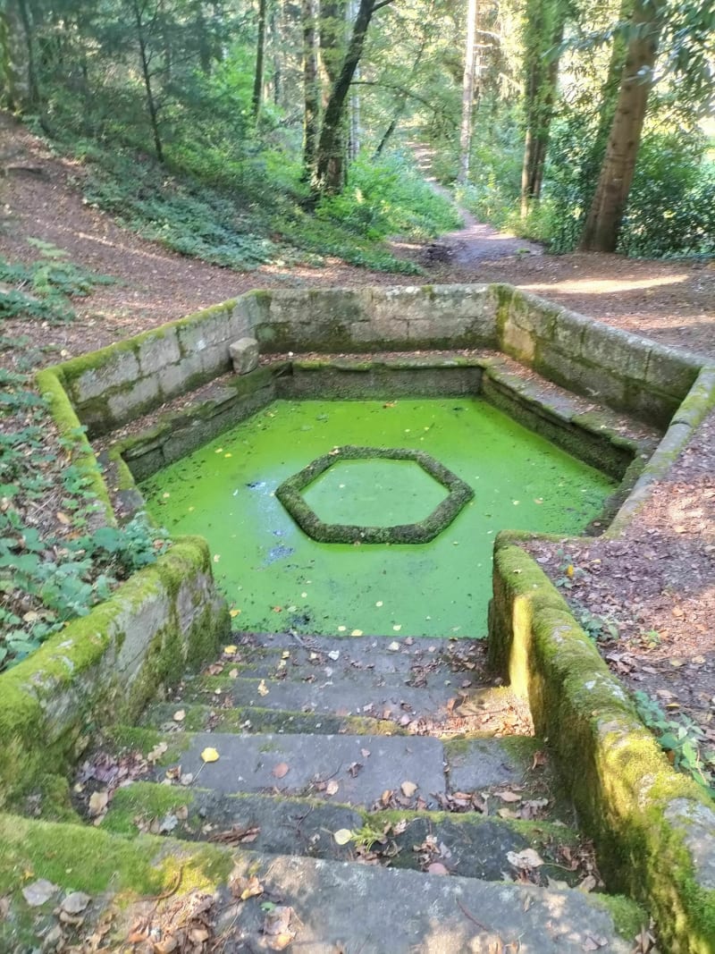 Les trois bois du Vincin, Campen et Poulindu - Arradon