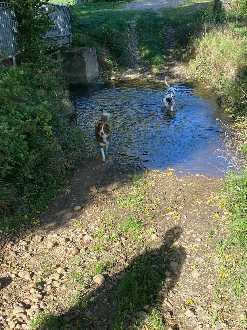 Boucle dans le bas de Saint-Jean - Saint-Jean-de-Bournay