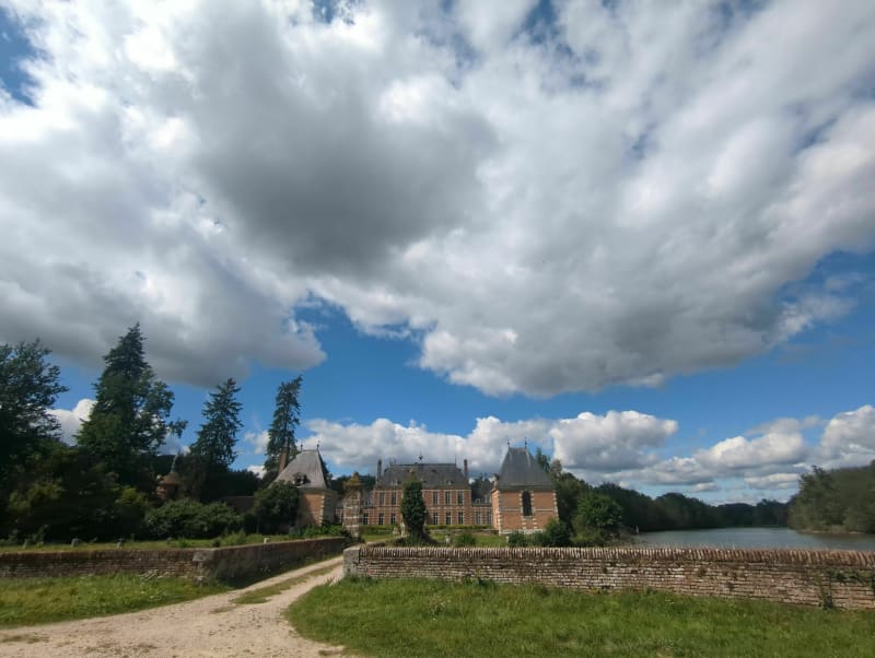 Balade en forêt à Ligny-le-Ribault - Ligny-le-Ribault