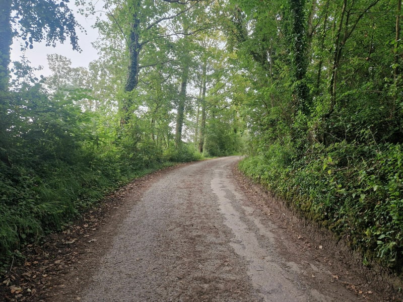 Balade au bois de Rinxent - Rinxent