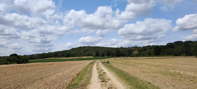 Boucle autour du Tertre Noir à Soisy-sur-Ecole - Soisy-sur-École