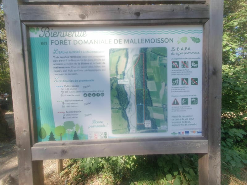 Foret domaniale de Mallemoisson - Mallemoisson