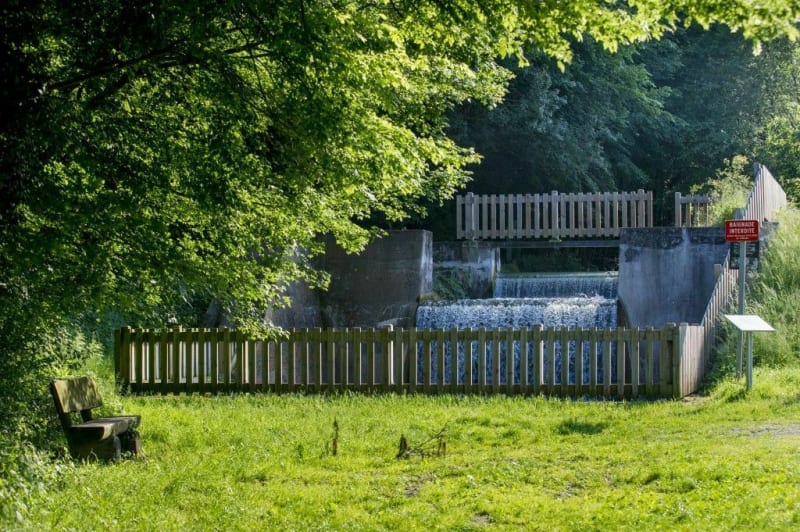 Ottmarsheim - Entre champs, canal et forêt - Ottmarsheim
