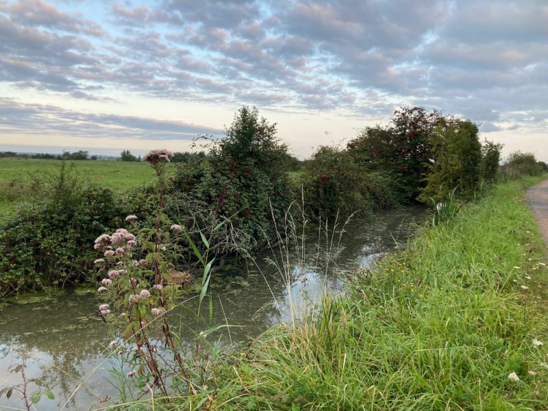 Entre marais et front de mer en passant par la Divette - Merville-Franceville-Plage