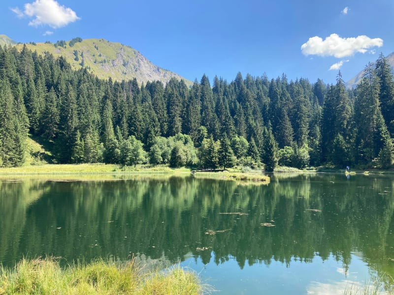 Tour des Alpages de Fréterolle à Chardonnière - Samoëns