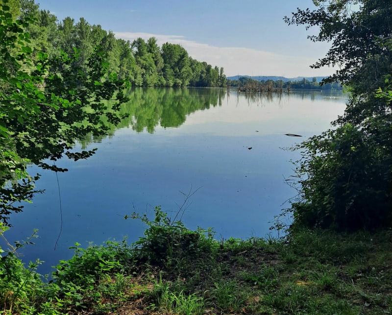 Randonnée VTT facile spéciale rivières Loire, Coise, Volvon - Veauche